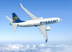 Ryanair пригрозил переместить самолеты за пределы Британии из-за "бестолковой" власти Ryanair пригрозил переместить самолеты за пределы Британии из-за "бестолковой" власти