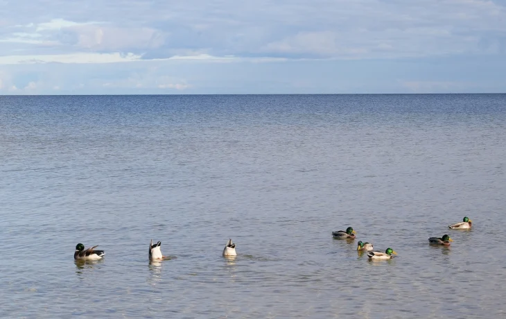 Рекордная температура в Латвии: +13,6 градусов в Колке