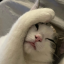 Victor